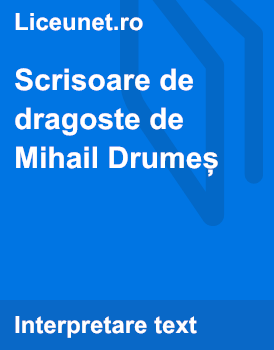 Scrisoare de dragoste de Mihail Drumes | Rezumat