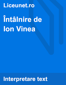 Intalnire De Ion Vinea Comentariu