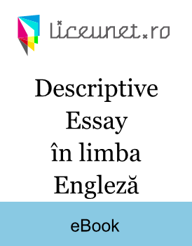 Beggar life apk picture