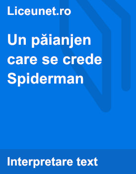 Un paianjen care se crede Spiderman | Idei principale