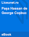 Pașa Hassan Pașa Hassan