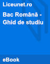 Bacalaureat pe înțelesul tuturor | Ghidul pregătirii la limba română Bacalaureat pe înțelesul tuturor | Ghidul pregătirii la limba română