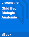 Ghid pentru Bacalaureatul la Biologie | Anatomie Ghid pentru Bacalaureatul la Biologie | Anatomie