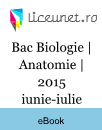 Bacalaureat Biologie | Anatomie | 2015 iunie-iulie Bacalaureat Biologie | Anatomie | 2015 iunie-iulie