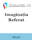Referat Imaginația Referat Imaginația