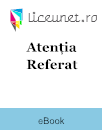 Referat Atenția Referat Atenția