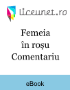 Femeia în roșu Comentariu Femeia în roșu Comentariu
