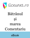Bătrânul și marea Comentariu Bătrânul și marea Comentariu