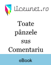 Tema romanului | Toate pânzele sus Comentariu Tema romanului | Toate pânzele sus Comentariu