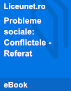Referat Probleme sociale: Conflictele Referat Probleme sociale: Conflictele