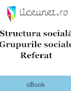 Referat Structura socială: Grupurile sociale Referat Structura socială: Grupurile sociale