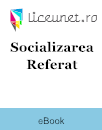 Referat Socializarea Referat Socializarea