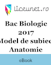 Bacalaureat Biologie 2017 - Model de subiect - Anatomie Bacalaureat Biologie 2017 - Model de subiect - Anatomie