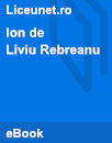 Ion Ion