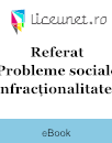 Referat Probleme sociale: Infracționalitatea Referat Probleme sociale: Infracționalitatea