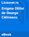 Enigma Otiliei Enigma Otiliei