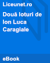 Două loturi Două loturi